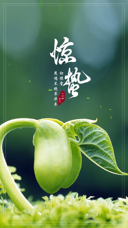 惊蛰.jpg